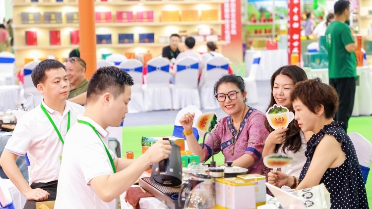 “茶+”创新成果集结！英德红茶邀您来深圳茶博会喝茶啦