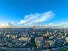 视频｜为什么说福田是企业出海福地？