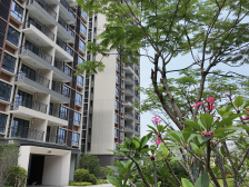 安置房长啥样？眼见为实！天河元岗村村民代表“组团”参观机建投机场三期项目