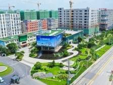 黄楚平到广清纺织服装产业有序转移园调研并座谈