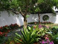 自己铺砖，种树摘果！探访竹洞村退休夫妇的温馨小院