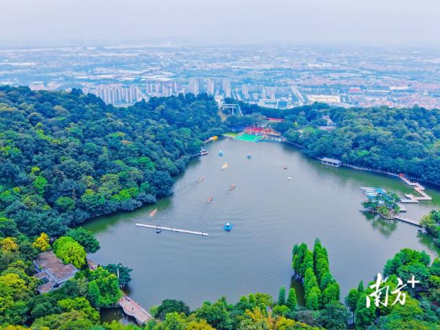 西樵镇“半山扒龙船”锦龙盛会活动。樵宣供图 西樵镇“半山扒龙船”锦龙盛会活动。樵宣供图