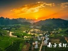 7月9日“芒”乡见！2025年百色市田阳区大湾区采购商基地行暨产销对接会将启幕