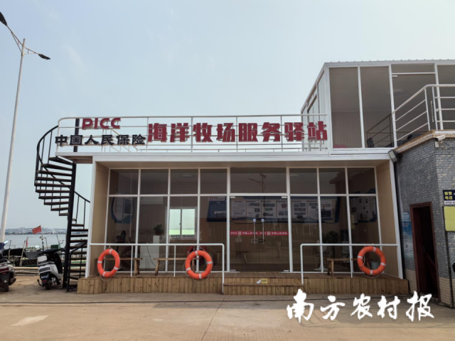 现代化海洋牧场保险为深海养殖提供风险保障。