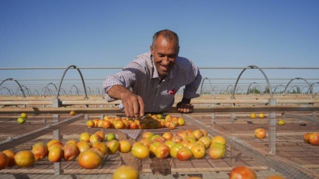 从珠水之畔到天山南麓，粤新共绘幸福边疆新图景