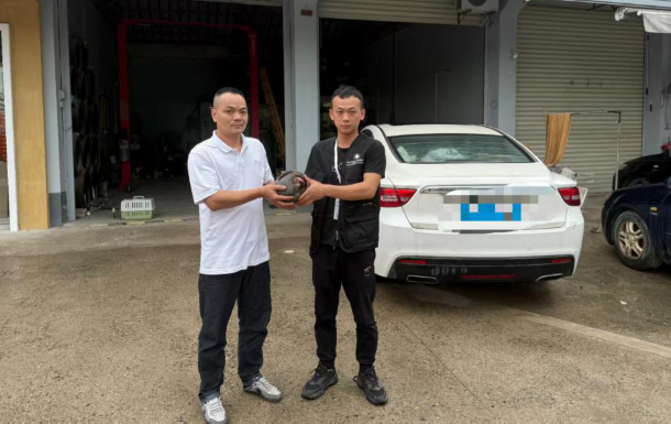 热心市民向野生动物救护人员移交穿山甲。