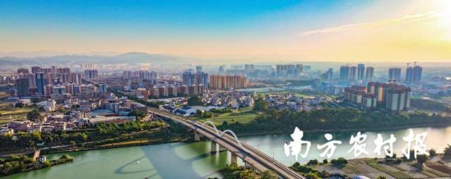 中国第一个“芒果之乡”——广西百色市田阳区。