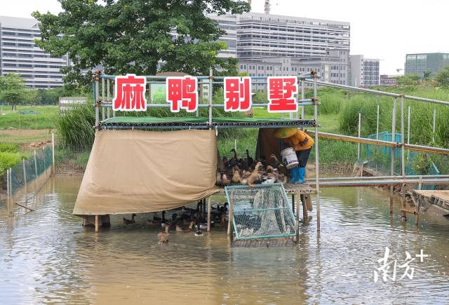 強(qiáng)冷空氣14日晚到達(dá)梅州！日平均氣溫下降10