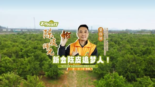 “陈皮师兄”梁伟钊，扎根乡土，敢闯世界，做新会陈皮追梦人！
