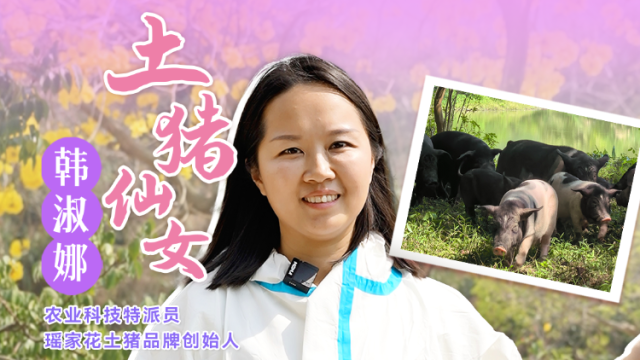 “土猪仙女”韩淑娜讲解土猪生态养殖模式。