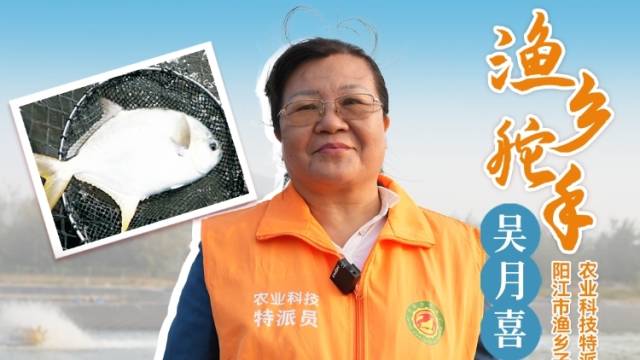 渔乡“舵手”喜姐，教你如何养好金鲳鱼！