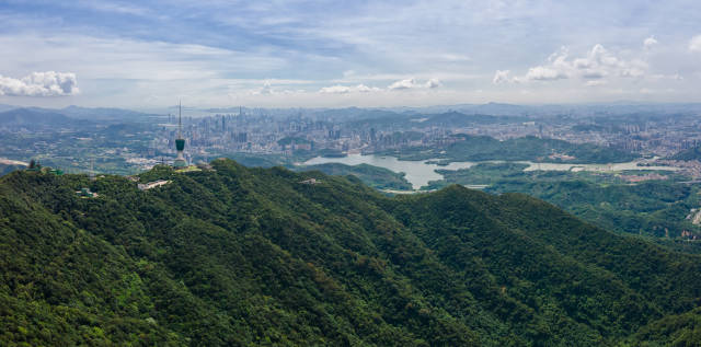 深圳小梧桐绿美点  