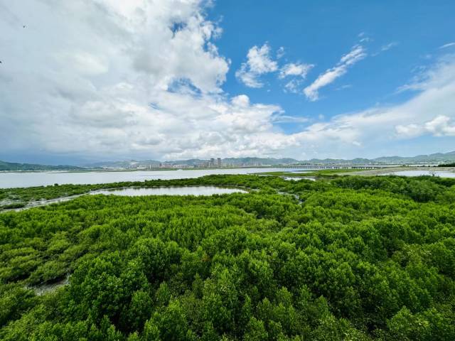 惠州市好招楼湿地公园绿美点 