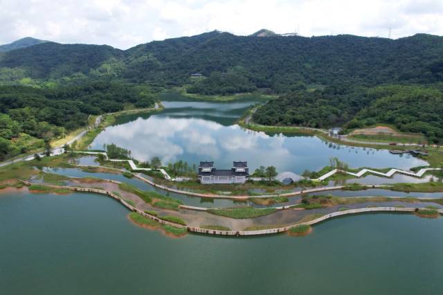 广州黄埔迳下郊野公园绿美点 