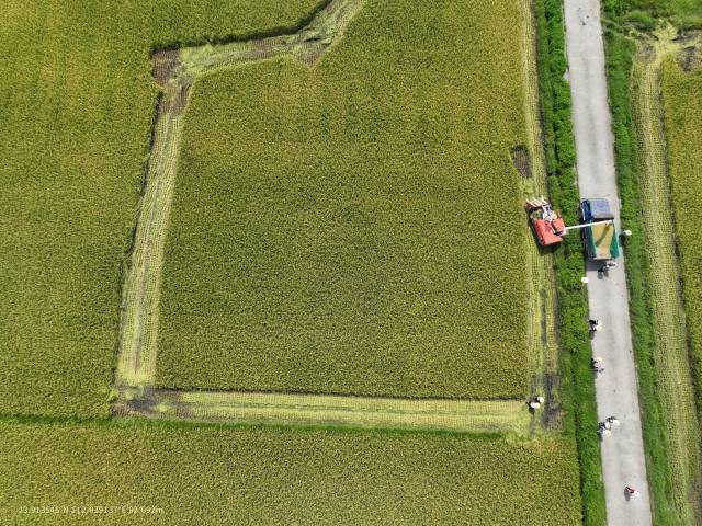 南方农村报 王富迪 拍摄