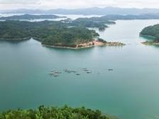 万绿湖生态系列产品正式发布，把山花湖水变成 “能带走的生态记忆”