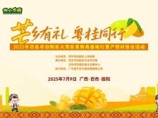 盛夏“香”约芒果之乡！直击湾区采购商走进广西田阳