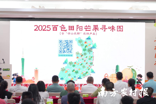 2025年田阳区芒果寻味图发布。