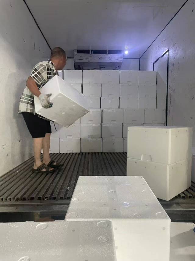 工人正在将打包好的荔枝装车 工人正在将打包好的荔枝装车