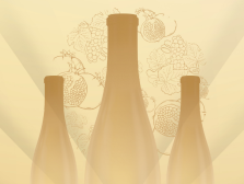 企业风采|喀什慕峰酒业有限责任公司