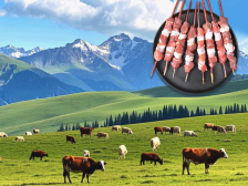 企业风采|新疆天域生物科技有限责任公司