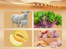 产区风采|伽师县