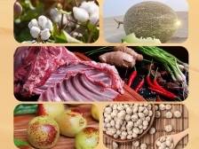 产区风采|第三师图木舒克市