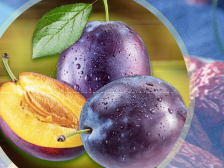 企业风采|新疆富伽商贸有限公司