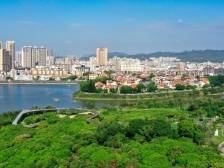 横岗街道：党建“绣花针”穿起治理“千条线”