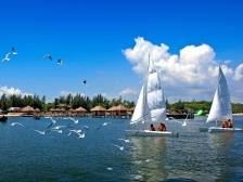 晨观山海 | 湛江红土地上“长出”亿元村