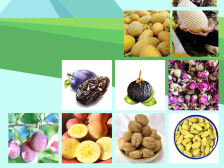 企业风采|佛山疆南宣源农业科技有限公司