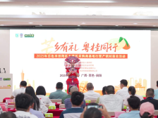 40多家大湾区采购商“芒”闯百色田阳！全链考察促合作