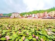 肇庆广宁：深耕文明沃土，赋能美丽乡村