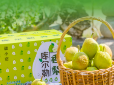 企业风采|佛山鹏辉农业科技有限公司