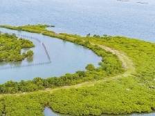 守护蓝海 森森不息｜速览《南方日报·徐闻视窗》40期