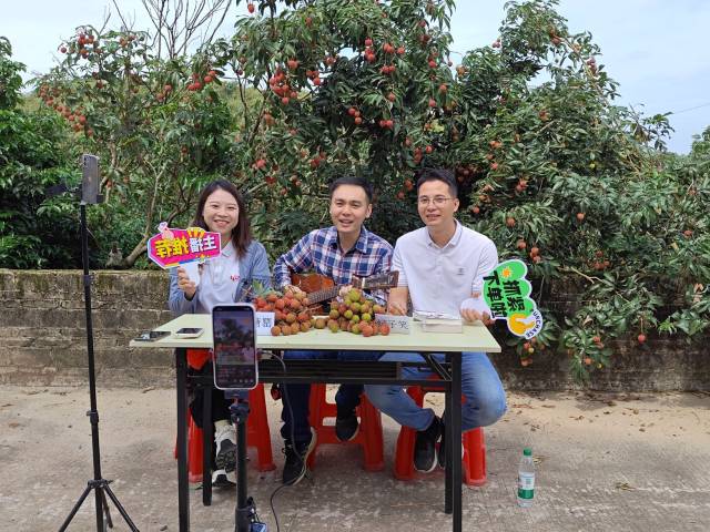 驻茂名高州市曹江镇帮镇扶村工作队通过直播助“荔”销售。受访者供图