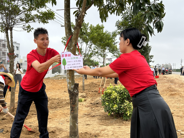 坡头区一对新婚夫妇种下“喜事树”。