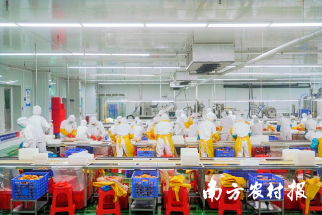 受访者供图