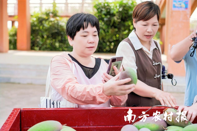 受访者供图