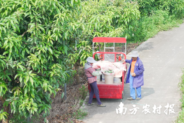 受访者供图