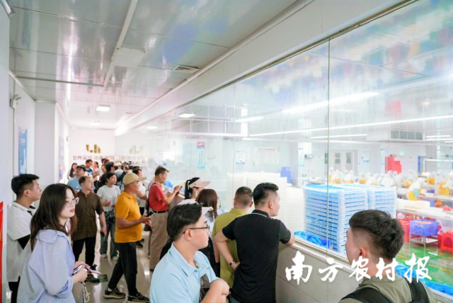 受访者供图