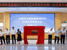 基层文化治理样本！东莞首个社区文联在东城星城成立