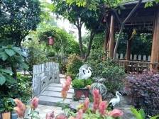 枕溪山居：退休教师夫妇打造书画茶香里的中式庭院