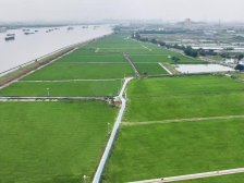 一亩都不能少！守护南沙“金饭碗”，永久基本农田全知道→