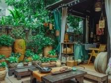 沈墨夫妇的新中式庭院，好友闲坐茶香浓