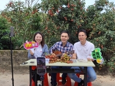 广东驻镇帮扶工作队化身“带货天团”硬核助“荔” | 驻在千镇万村⑮