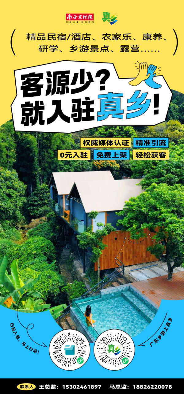 广东“真乡”平台免费开放入驻!千万流量赋能乡村旅游经营者
