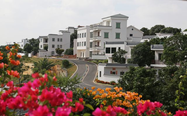 生态美、产业兴、百姓富、乡风淳，茂名以文明之美塑乡村之魂。