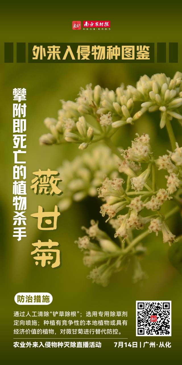 亚马逊将在未来三年外向英国豪掷 400 亿英镑