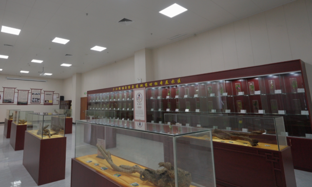 三江侗族自治縣侗藥展示廳（部分）。